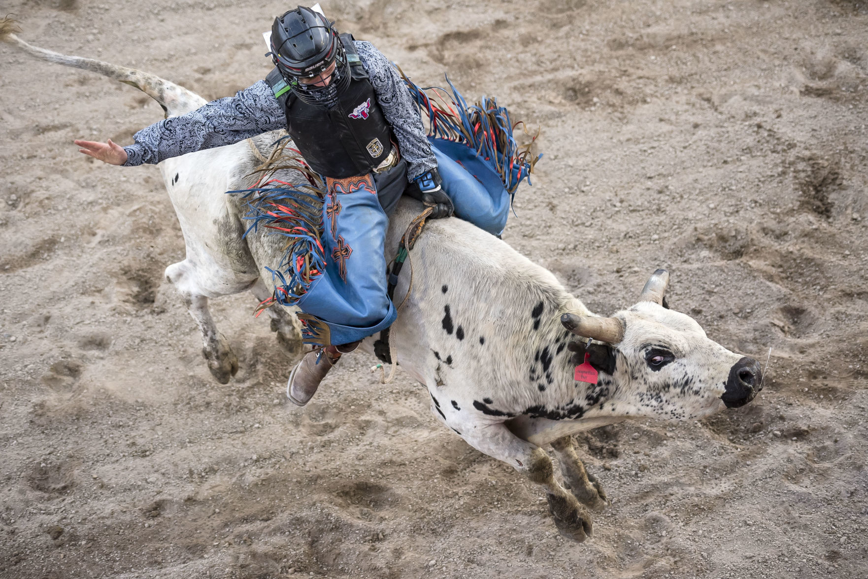 Jackson Hole Rodeo